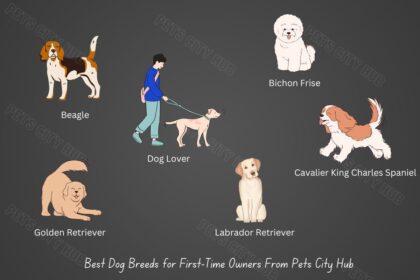 Best Dog Breeds for First-Time Owners