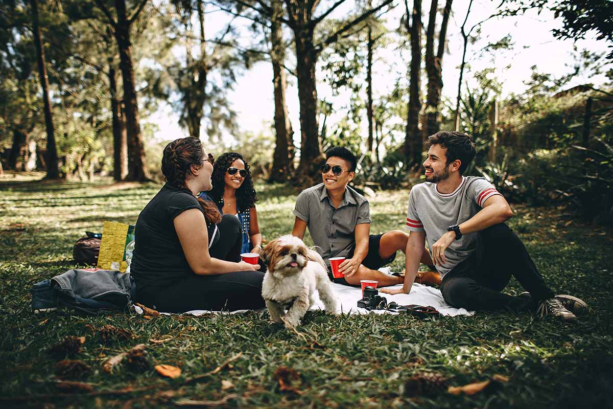 a dog and some people sitting in the field.