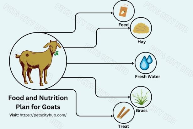 Food and Nutrition Plan for Goats