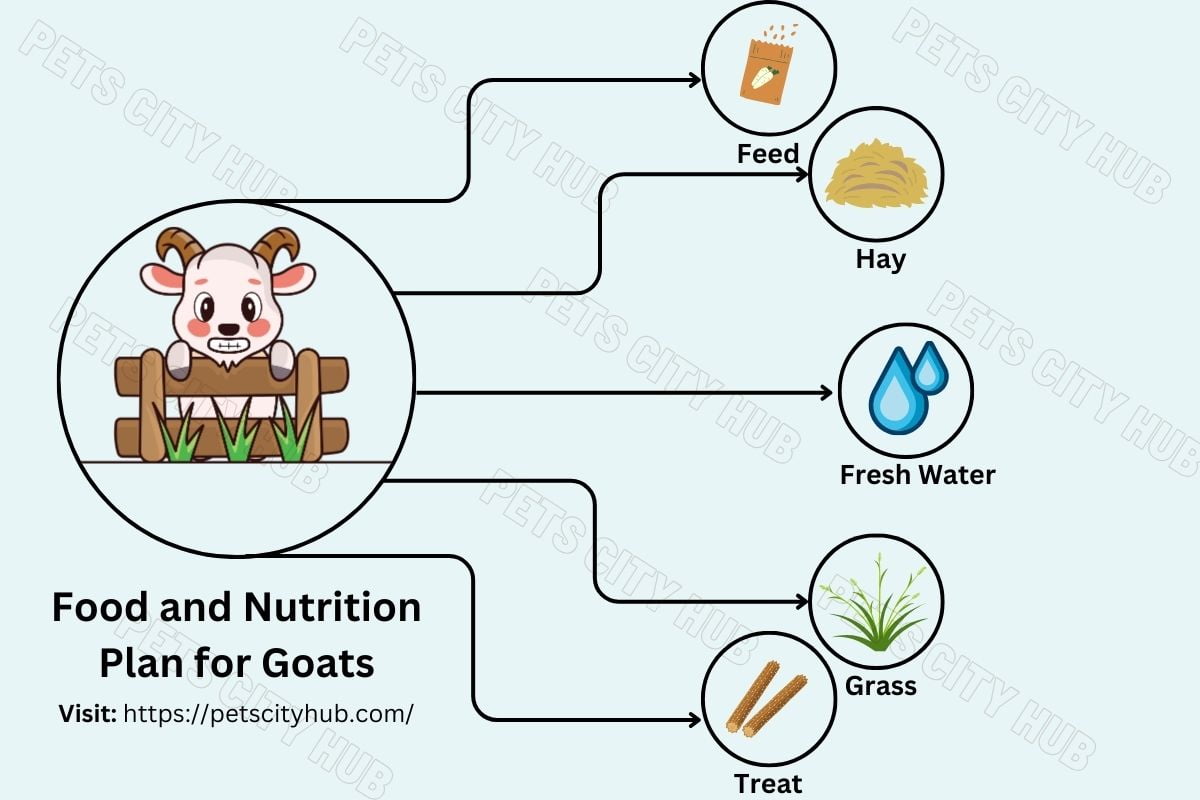 Goats Diet Sheet Plan.