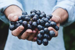 Grapes on hand.