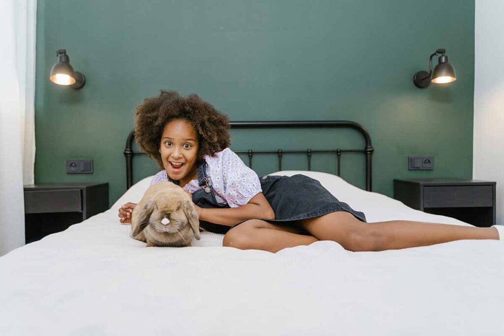 hypoallergenic rabbit sitting down on the bed in side one girl laying down.