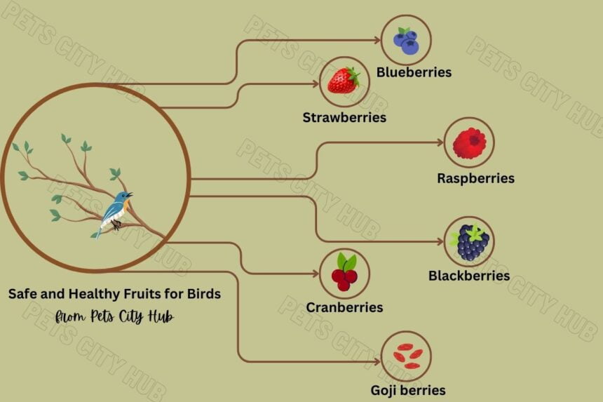 Safe Furits for Birds sheet.