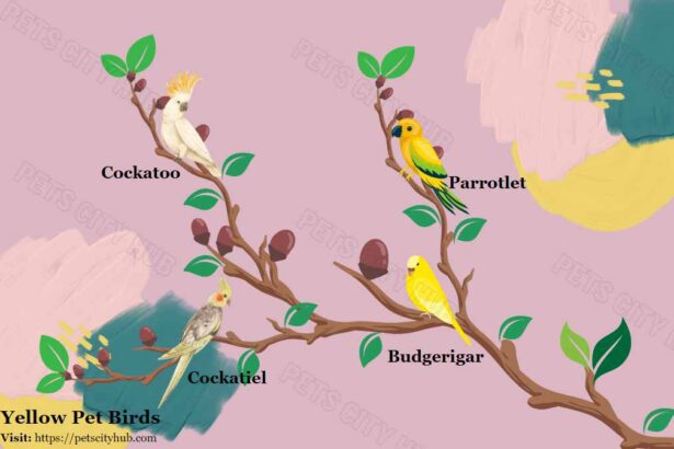 four Yellow Pet Birds sitting down tree branch.