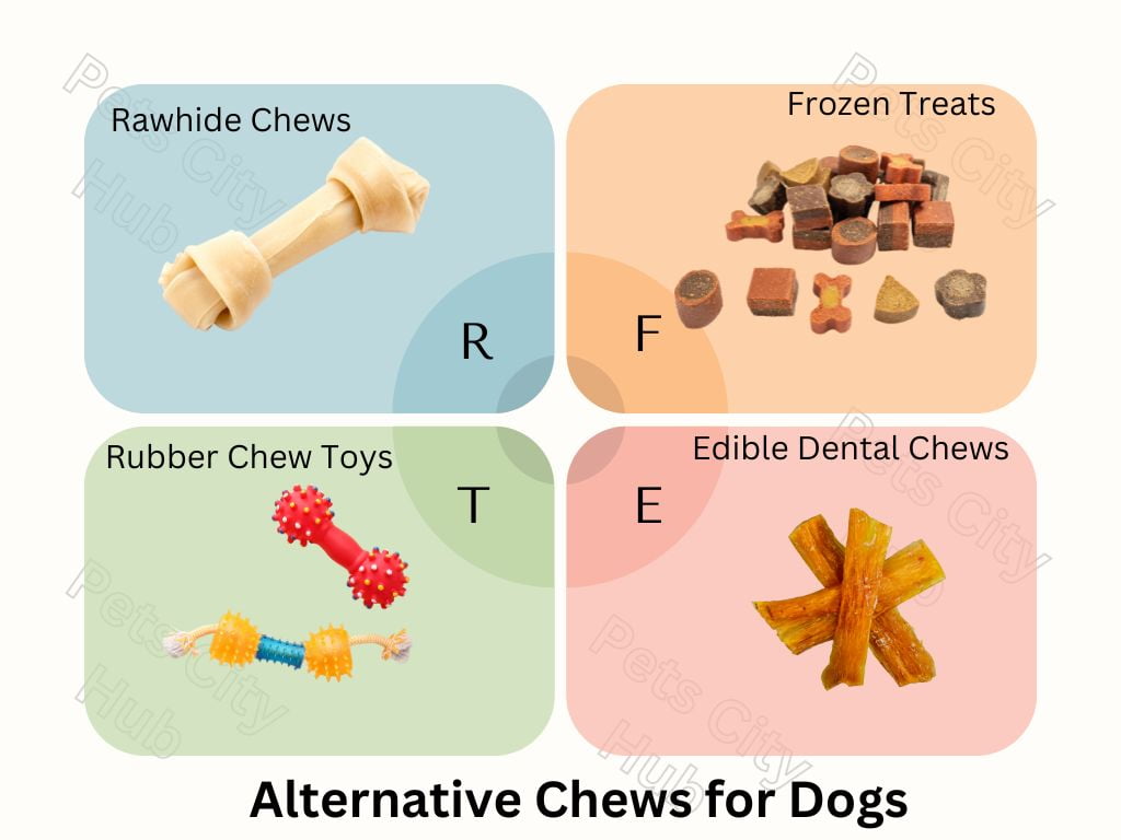 Alternative Chews for Dogs