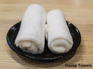 Two Damp Towels in Plate.