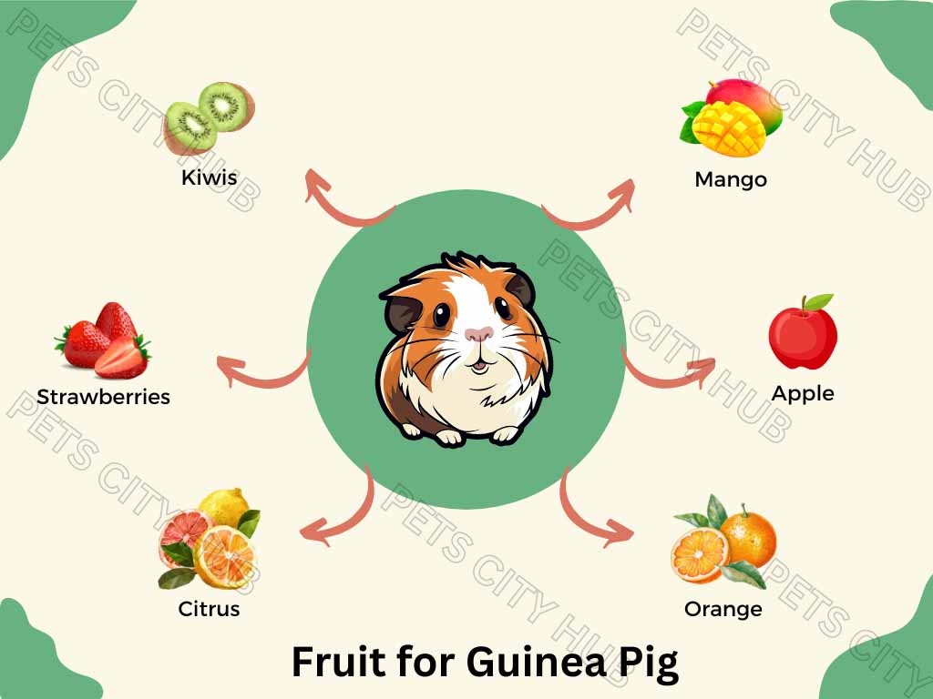 Fruit for Guinea Pig plan