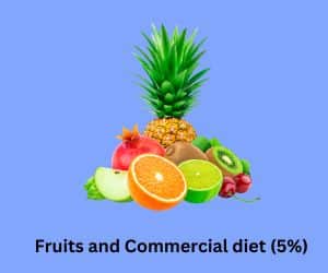 Fruits and Commercial diet for Rabbit