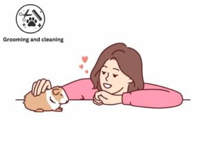 Guinea Pigs Grooming and cleaning