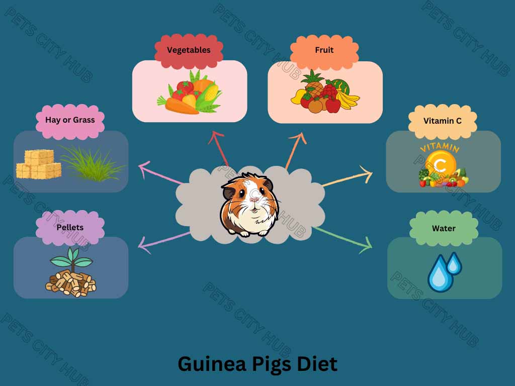 Guinea Pigs Diet plan