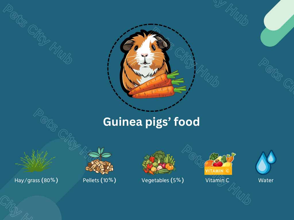 Guinea pigs food Plan.