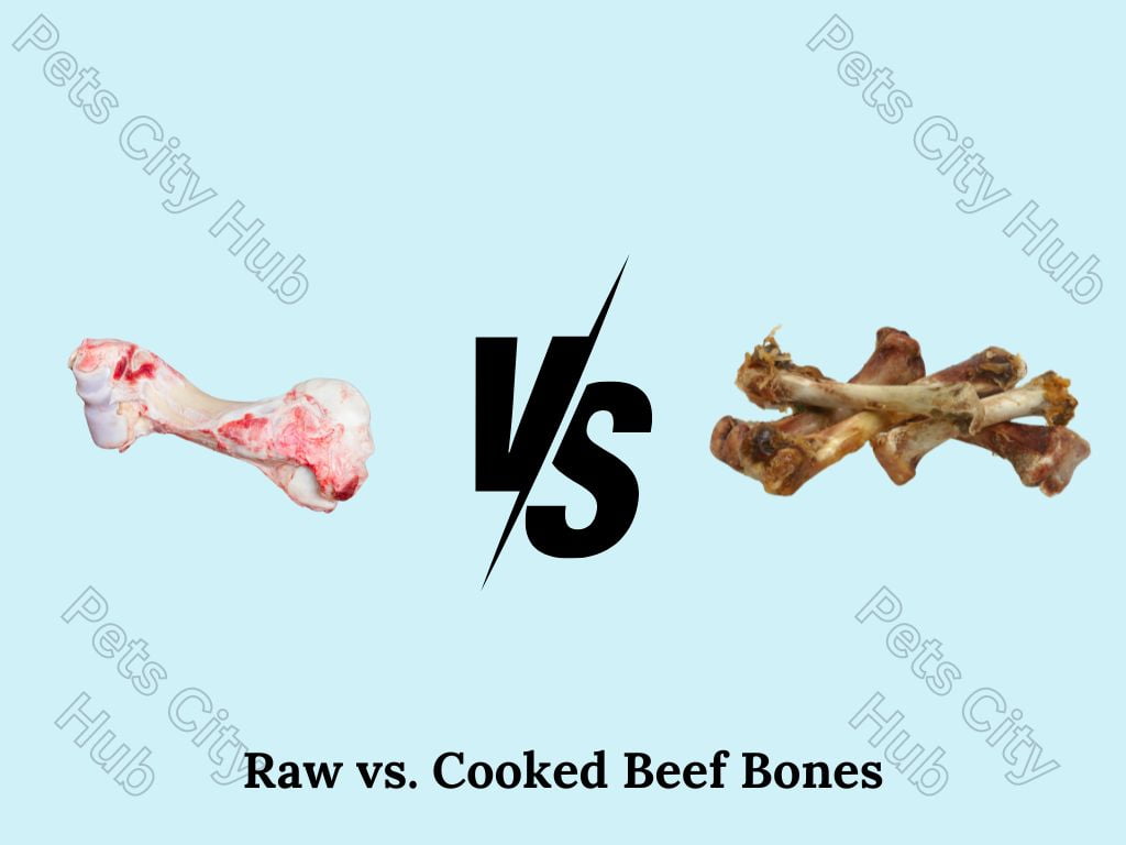 Raw vs. Cooked Beef Bones