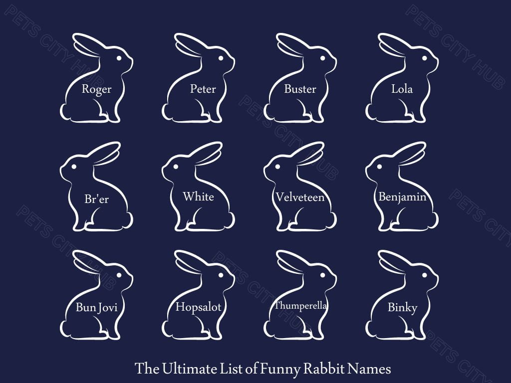 Funny Rabbit Names