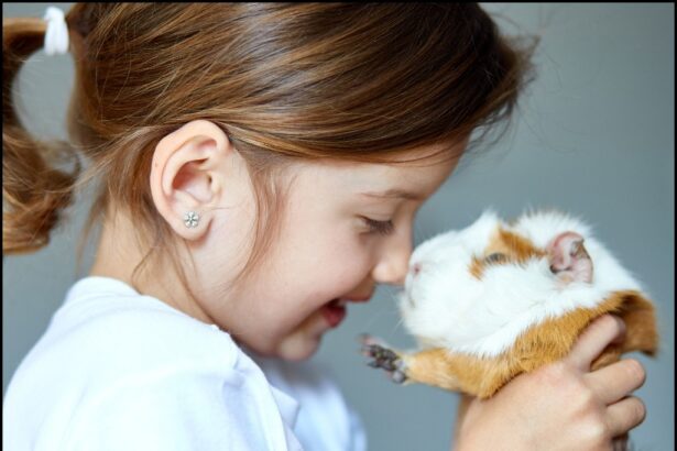 Cuddle Time with Guinea Pigs and Children.