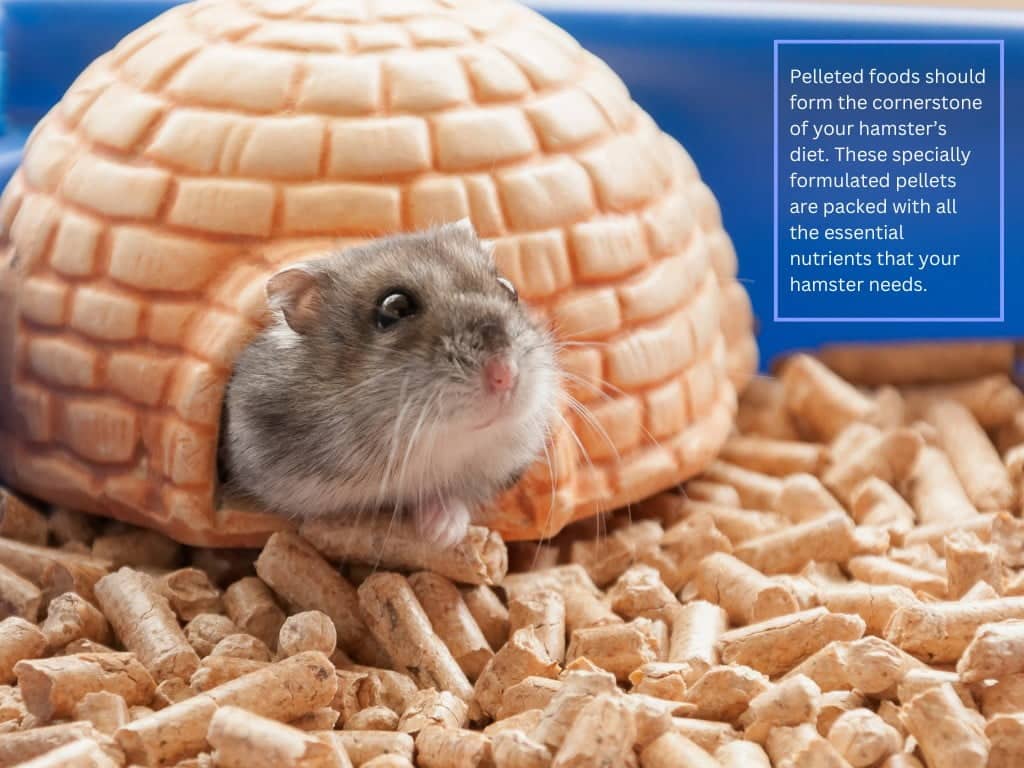 Essential Pelleted Hamster Foods
