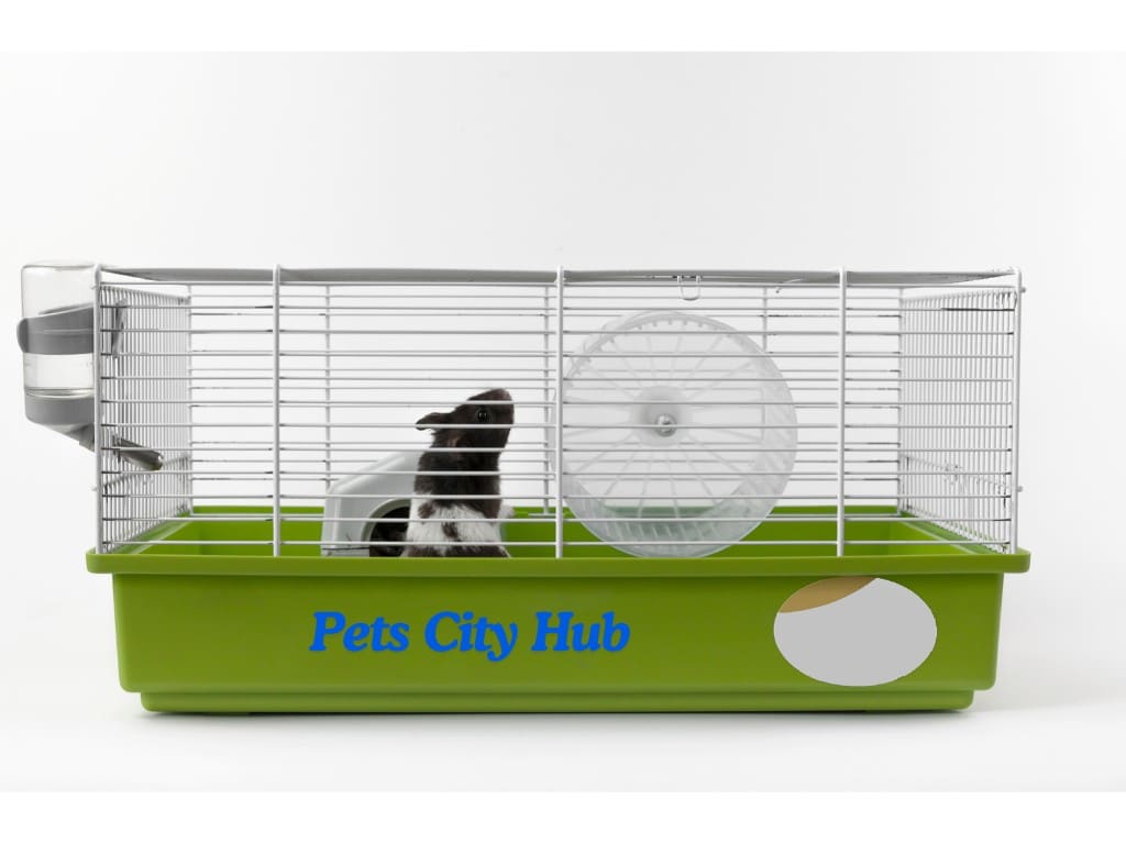 a hamster sitting down in her cage.